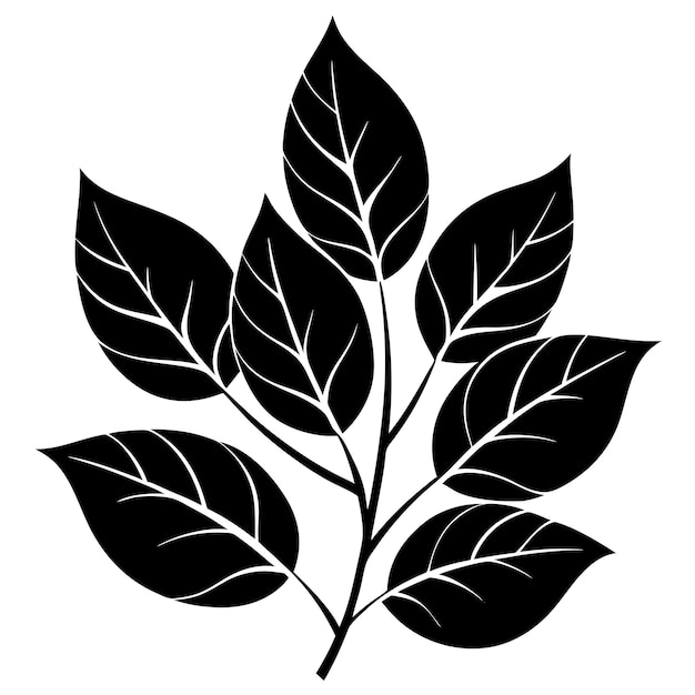 leaves black cliparts 2024