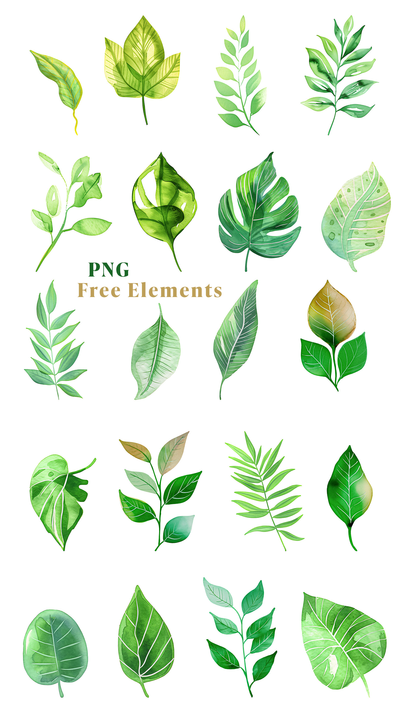 leaves cliparts 2024