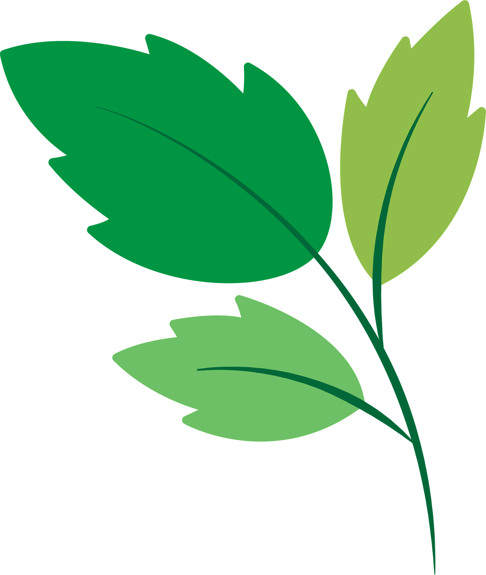 Green leaves - Free vector clipart images on clipart library.com