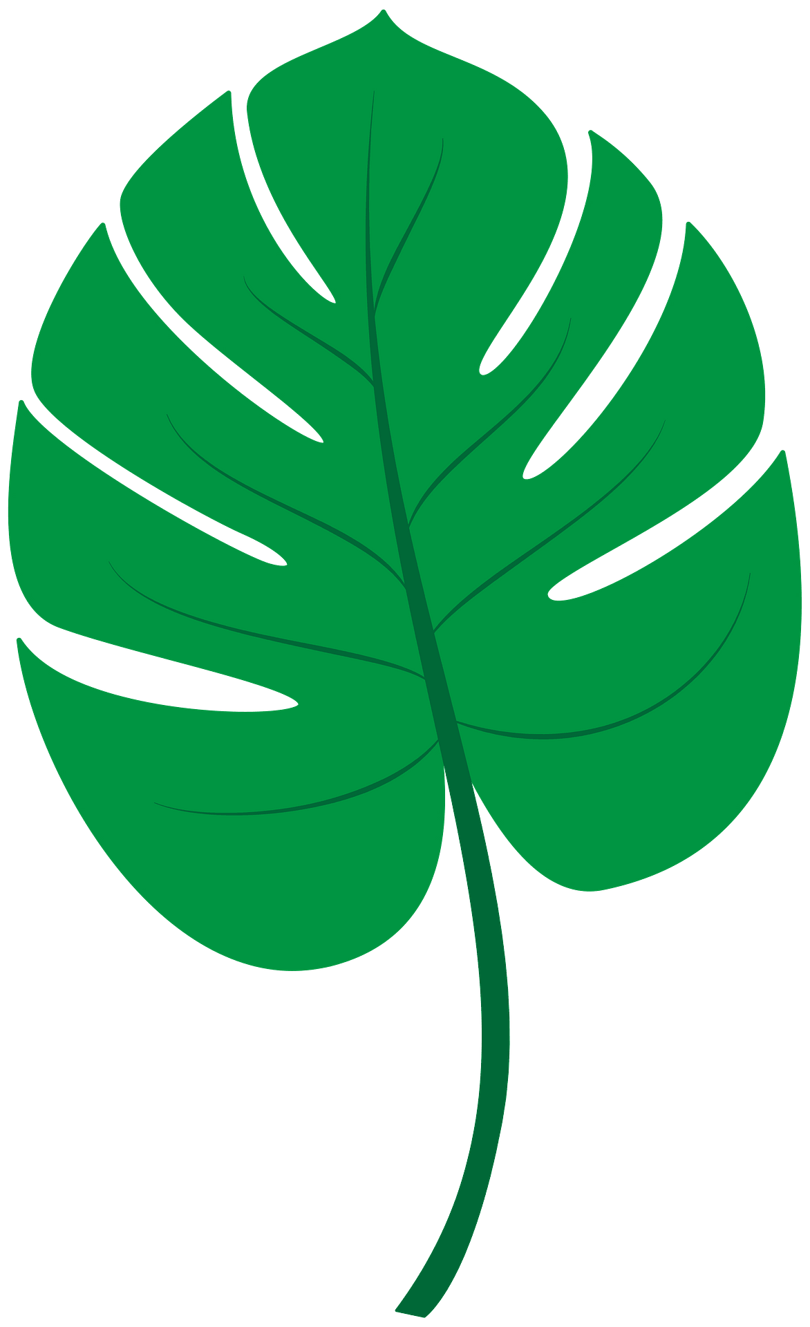 Tropical leaf - Free vector clipart images on clipart library.com