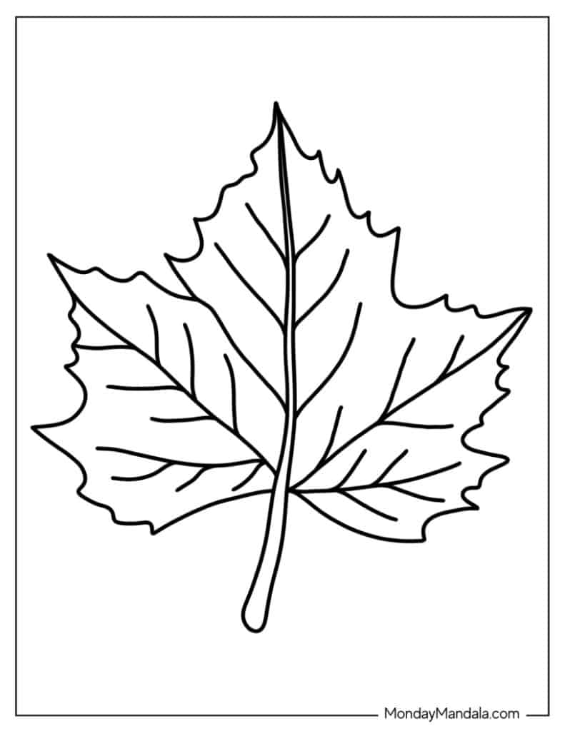 34 Leaf Coloring Pages (Free PDF Printables) 5602214