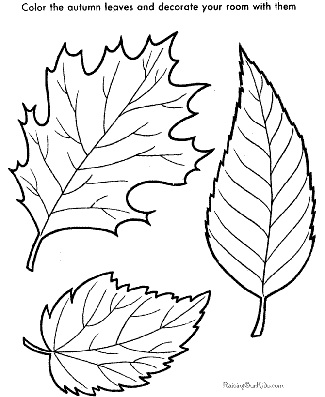 leaves to print and color