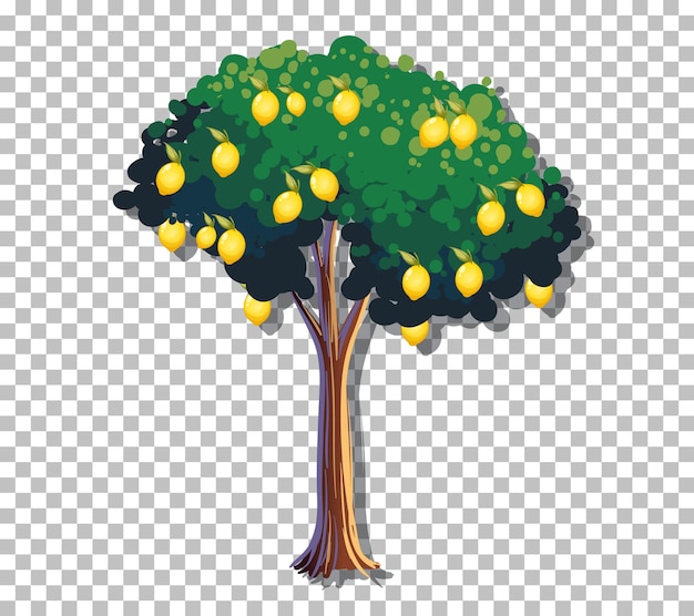 Lemon Tree Clipart Images - Free Download on clipart library