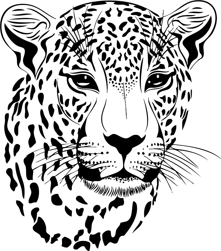 Leopard head - black and white - Free vector clipart images on ...