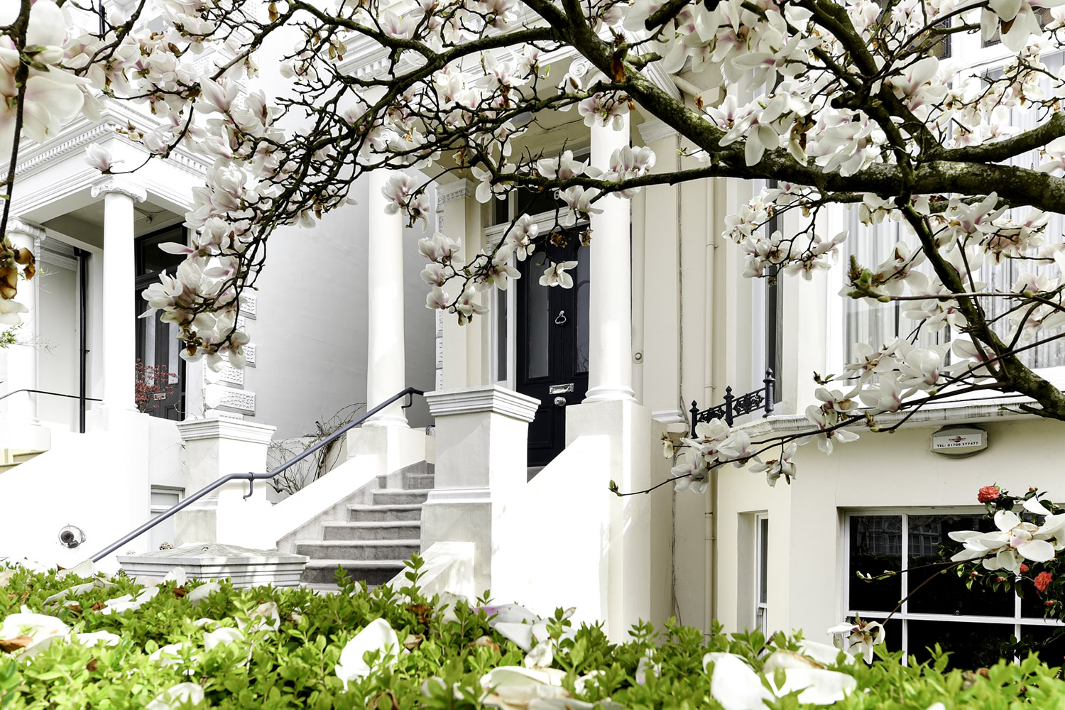Lexingtons Residential Sales &amp; Lettings Agents: Belsize Park ...