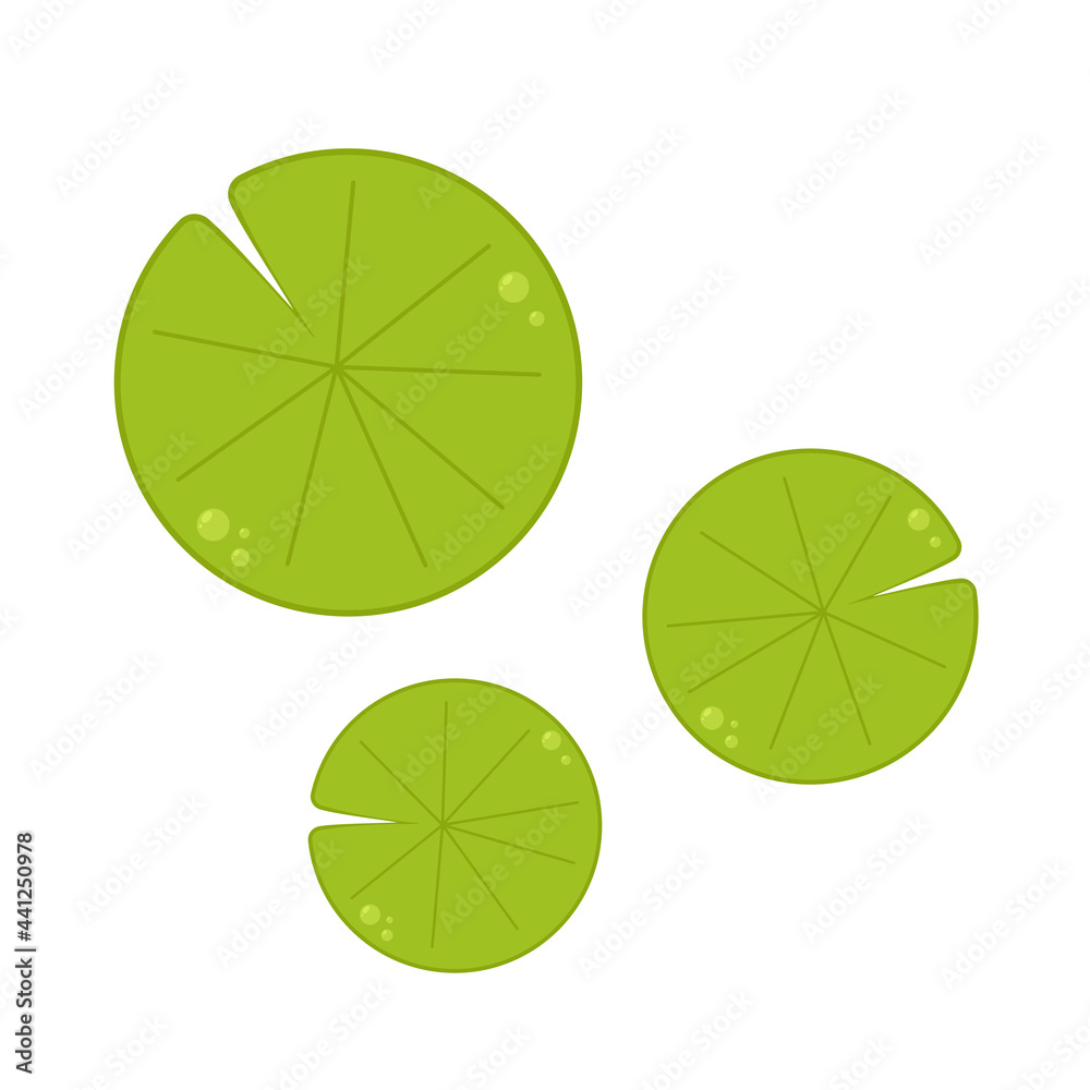 lily pad cartoon