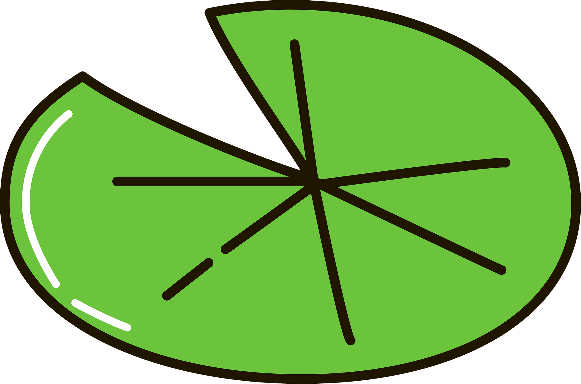 lily pad clipart
