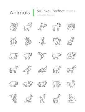 line art animals