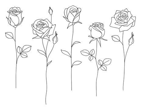 line drawing of a rose