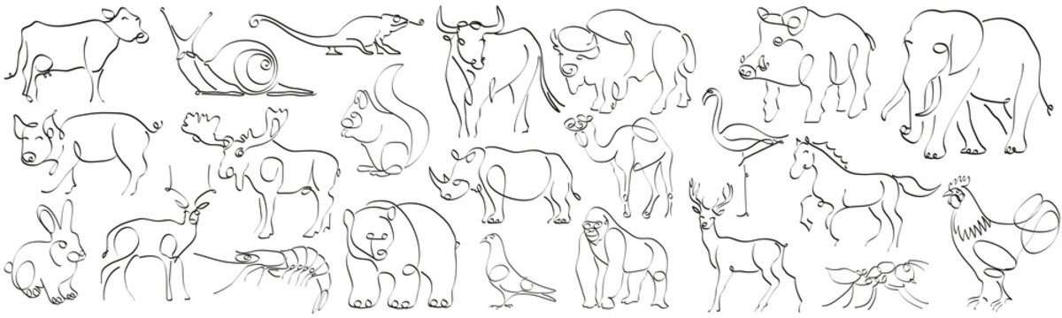 line drawings of animals