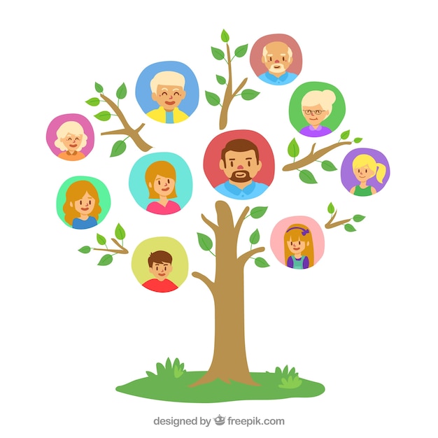 Family Tree Clipart Images - Free Download on clipart library