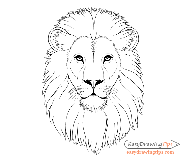 How to Draw Lion Face &amp; Head Step by Step - EasyDrawingTips