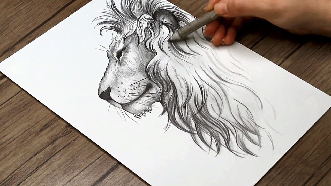 How to Draw a Lion Side View Step by Step | Lion Head Drawing