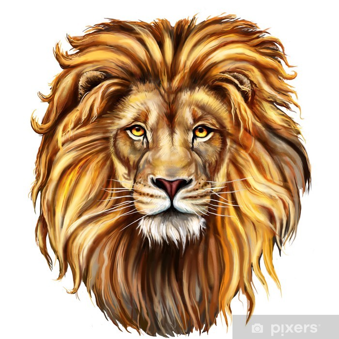 Wall Mural lion head in front - PIXERS.UK