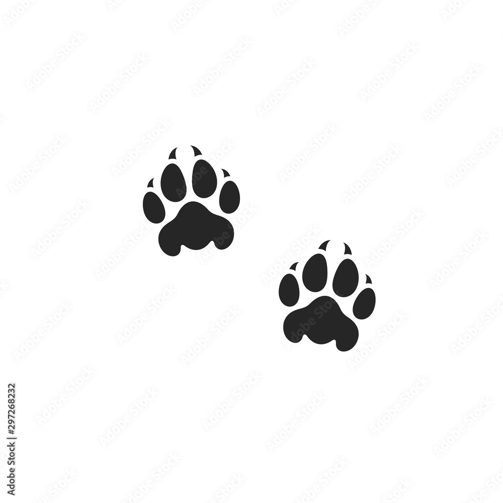 Poster, Wandbilder Lion paw print. Wild animal, 40x40 cm