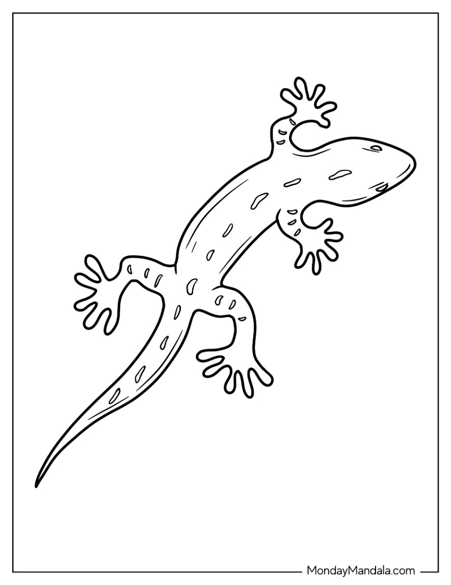 lizard pictures to color