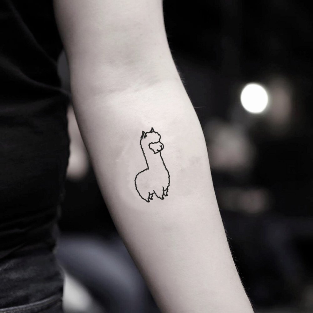 llama outline
