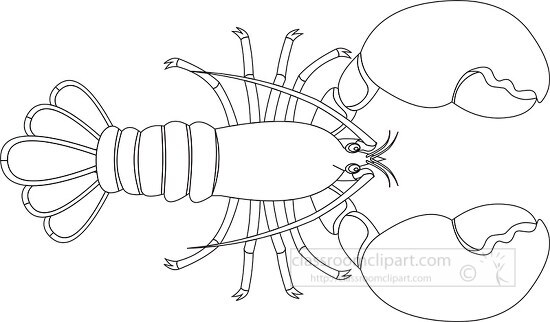 lobster cliparts
