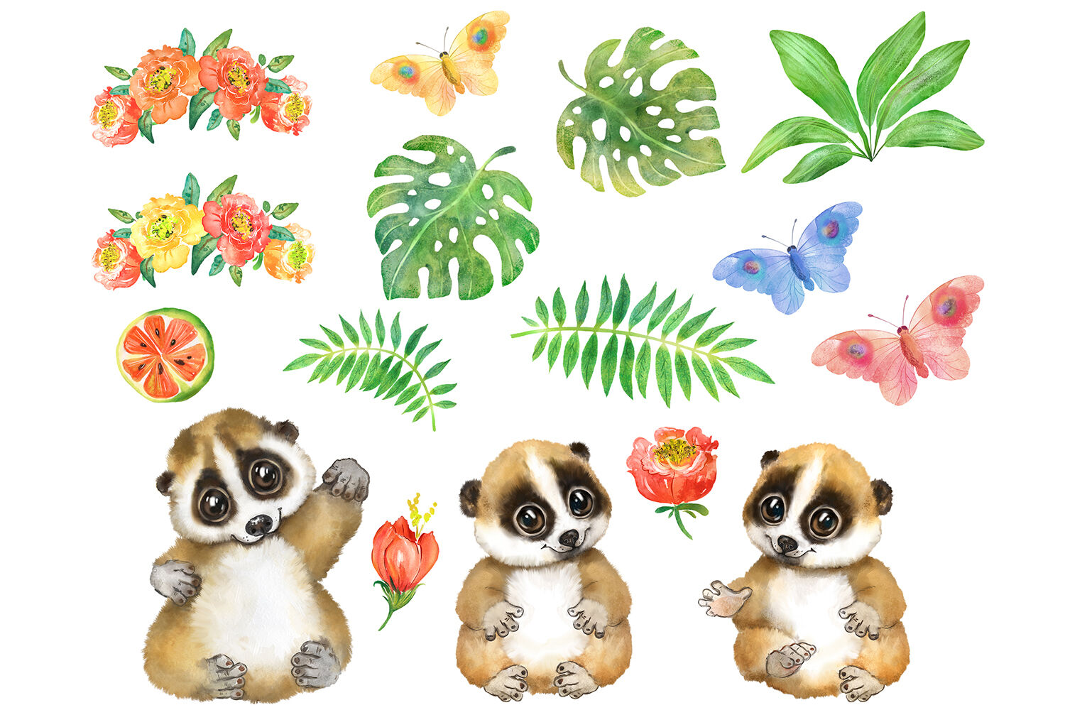 Lori watercolor clipart. Cute tropical animal, nursery decor By ...