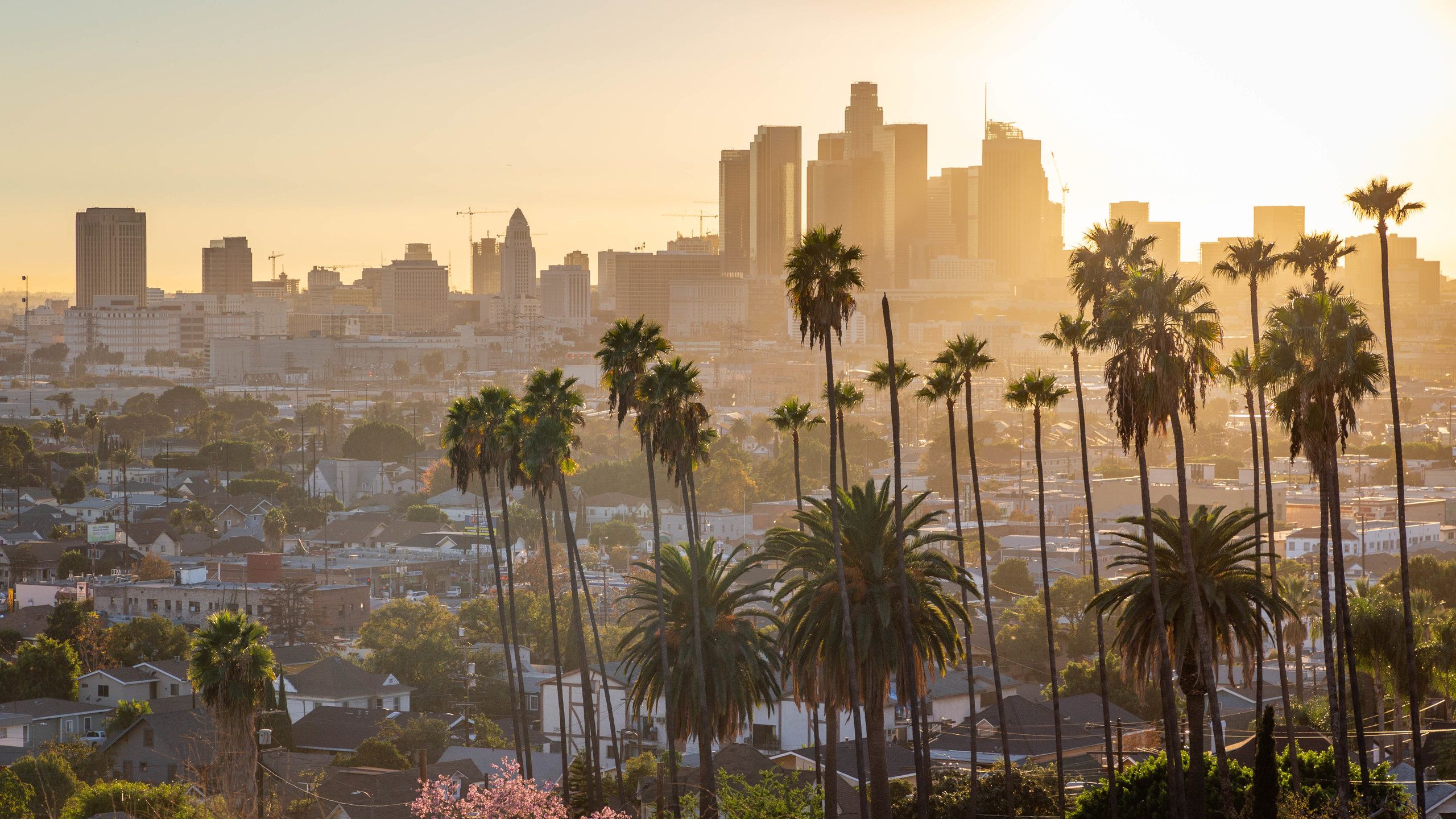 Reiseführer Los Angeles: 2025 das Beste in Los Angeles entdecken ...