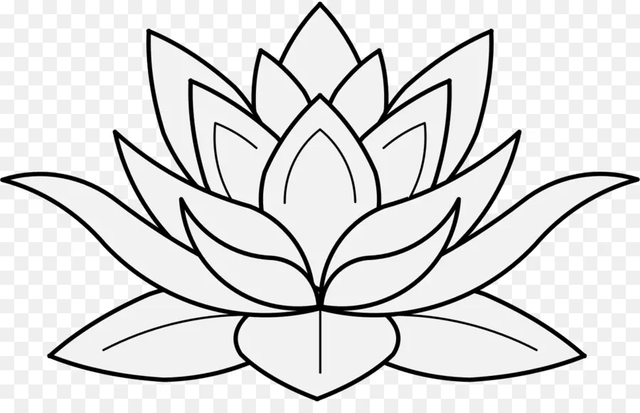 lotus flower outline
