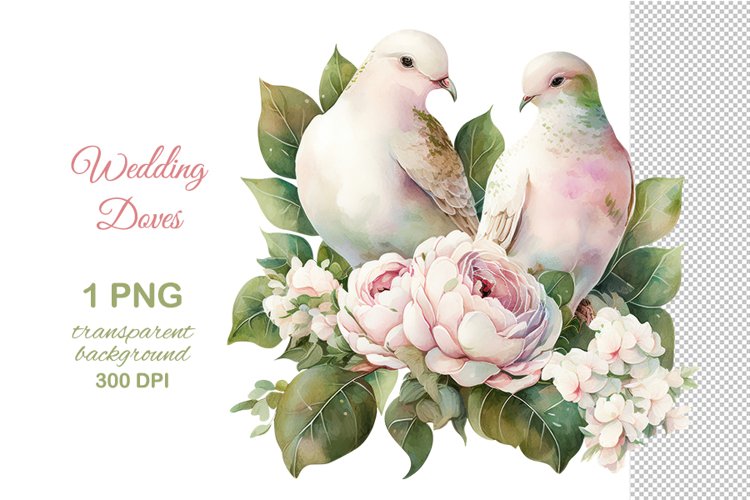 love doves cliparts