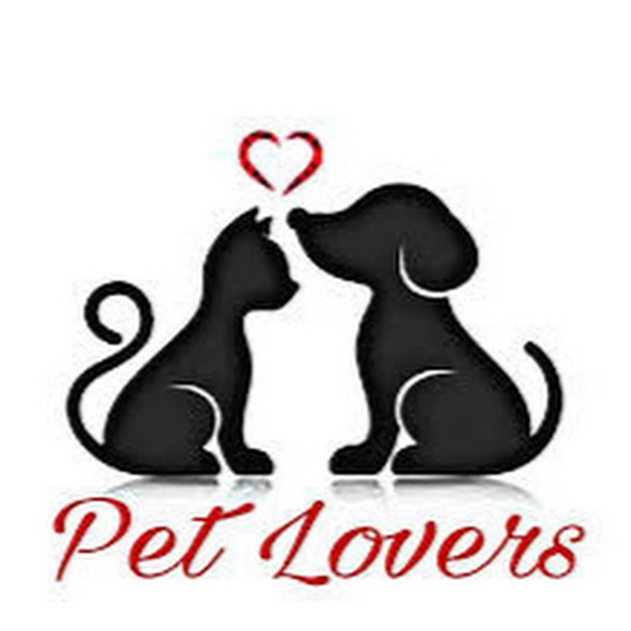 love pet cliparts 2024