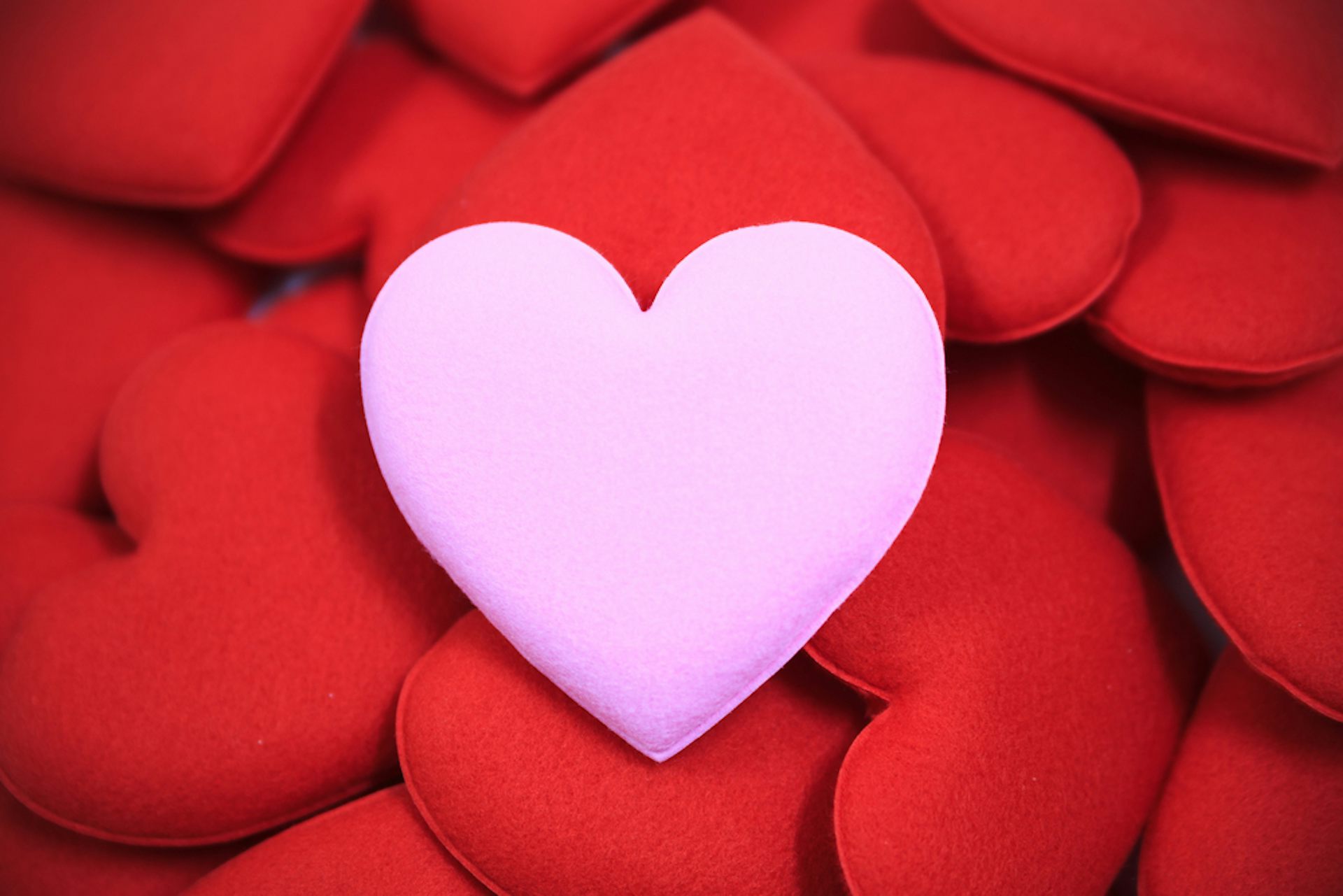 What is love? Heres the science …