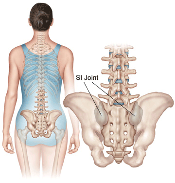 Anatomy of the Spine -Redlands, Loma Linda, Highland | Bones and ...