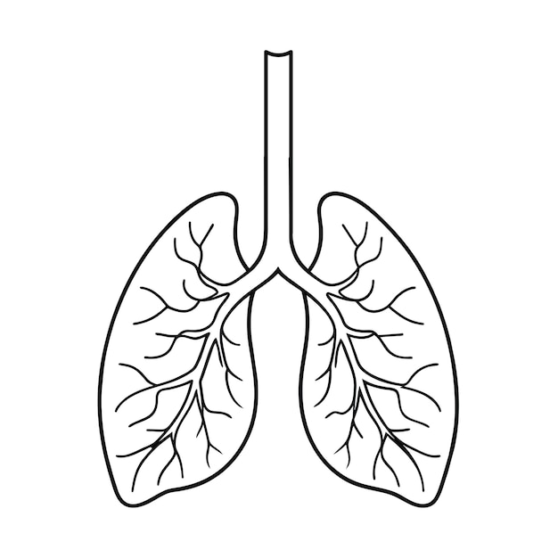 lungs outline cliparts