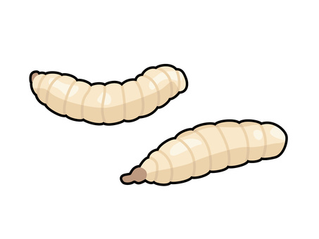 Free Vectors |