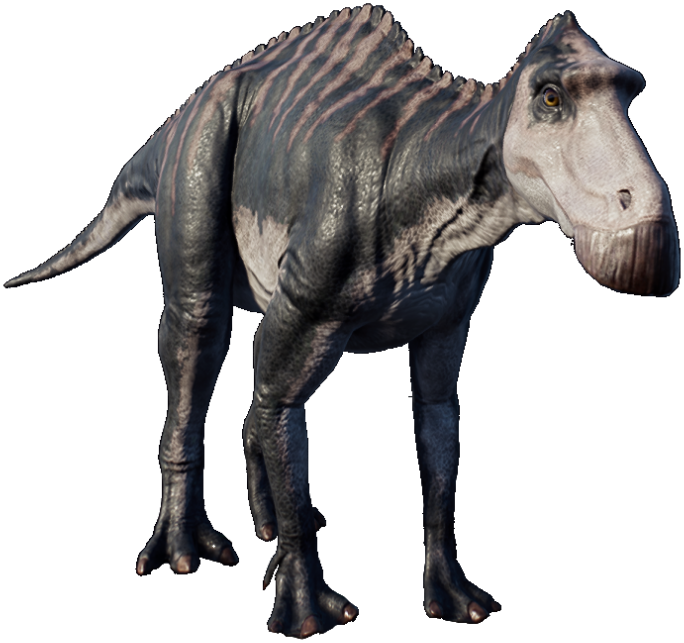 maiasaura pictures