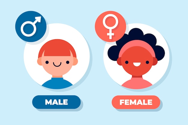male female cliparts 2024
