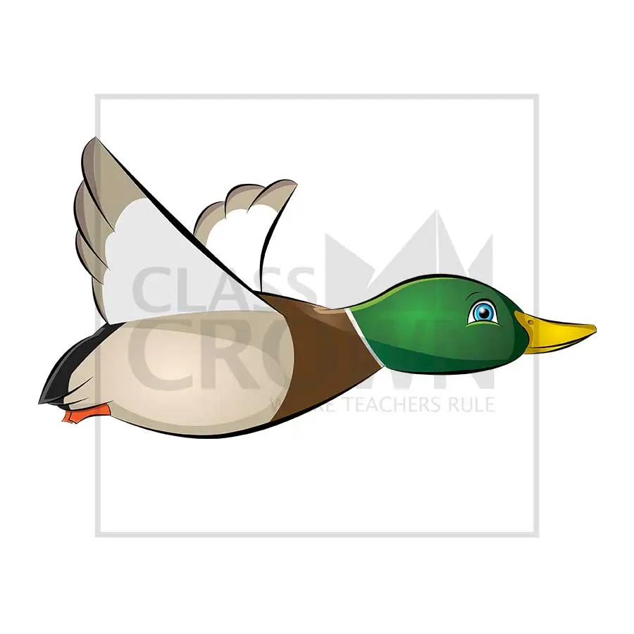 Duck Clipart | ClassCrown