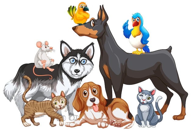 many pets cliparts