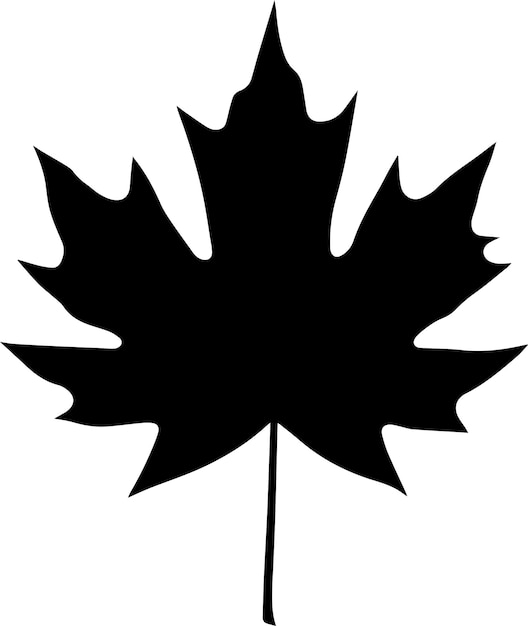 Premium Vector | Maple leaf vector silhouette