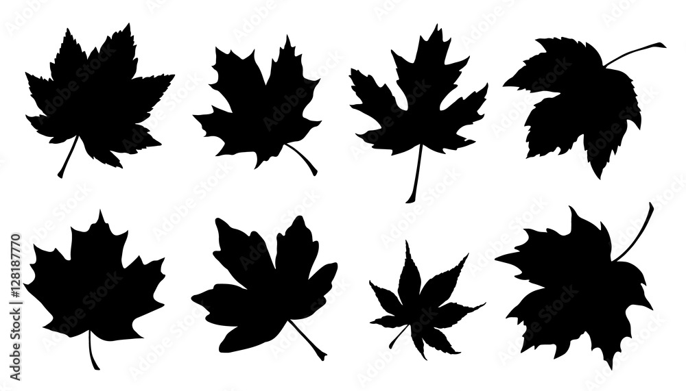 maple leaf silhouettes Stock-Vektorgrafik | Adobe Stock