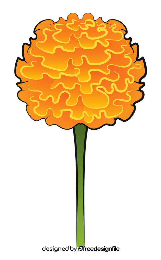 Marigold clipart free download
