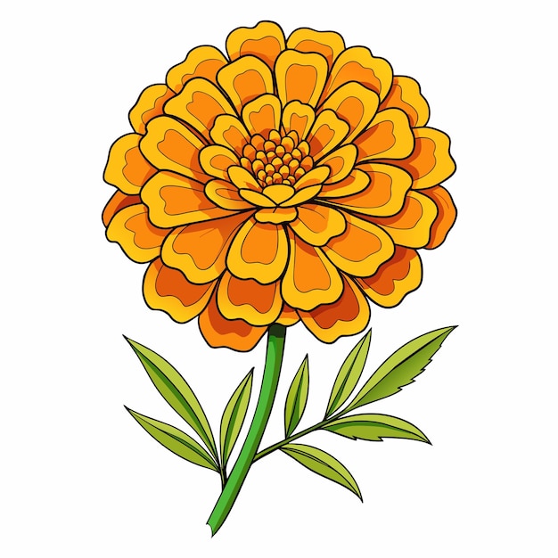 Page 4 | Tree Marigold Flower Vectors &amp; Illustrations for Free ...