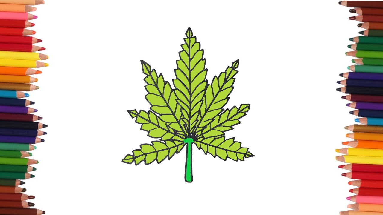 como dibujar una hoja de marihuana | Dibujos faciles