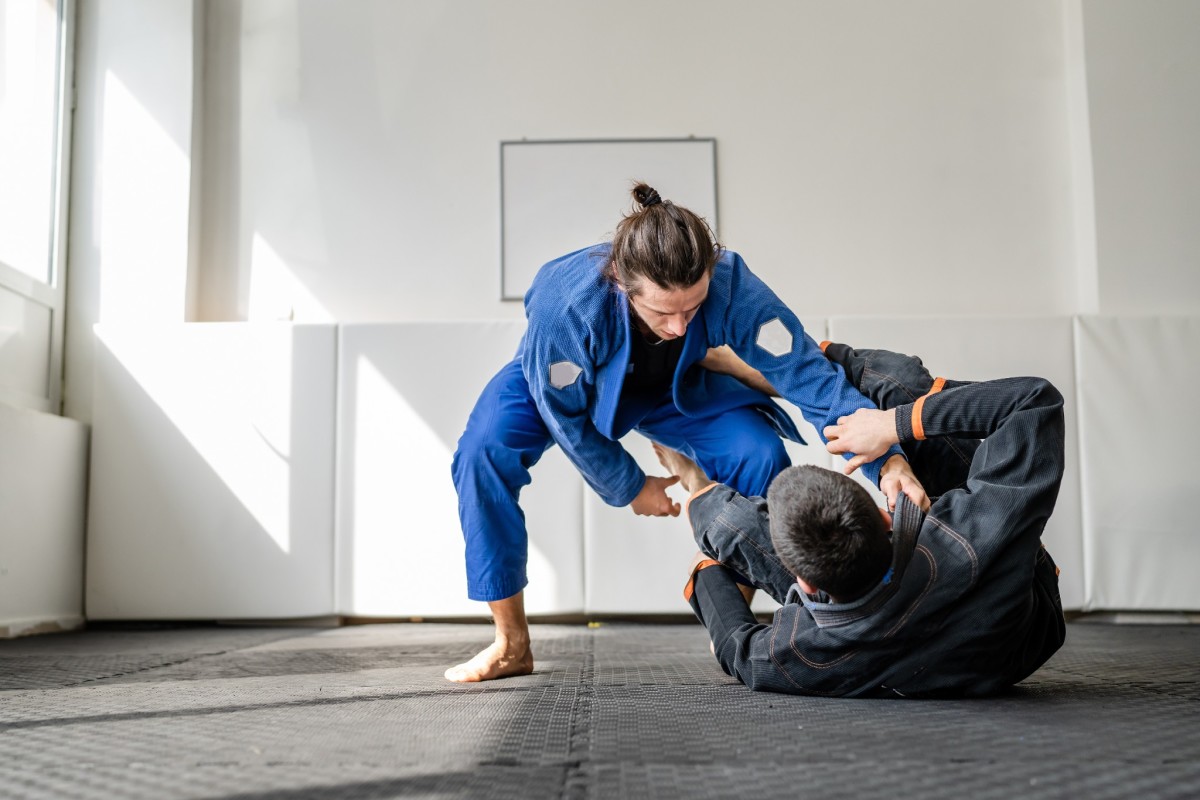 martial arts pics