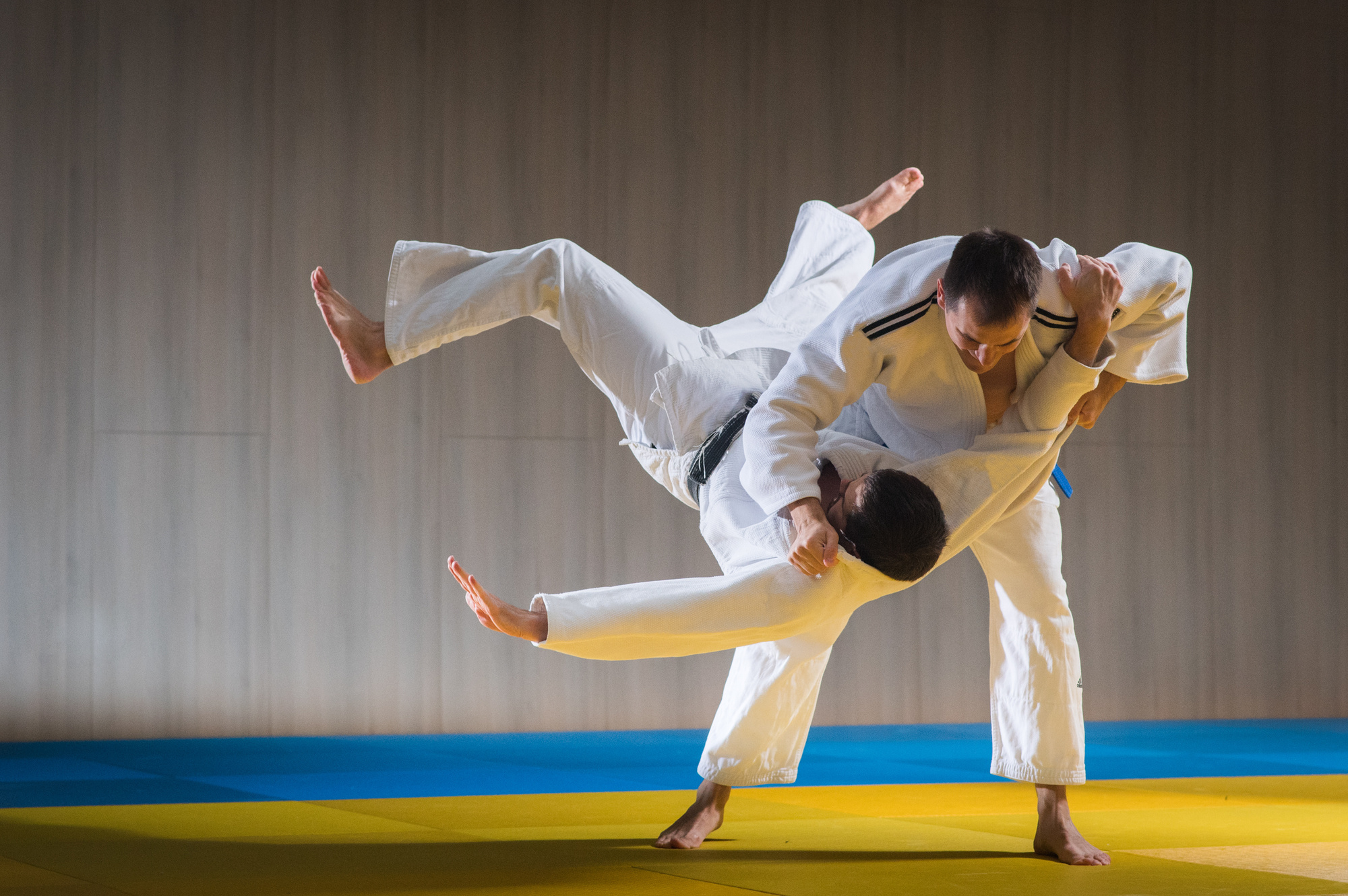 martial arts pictures