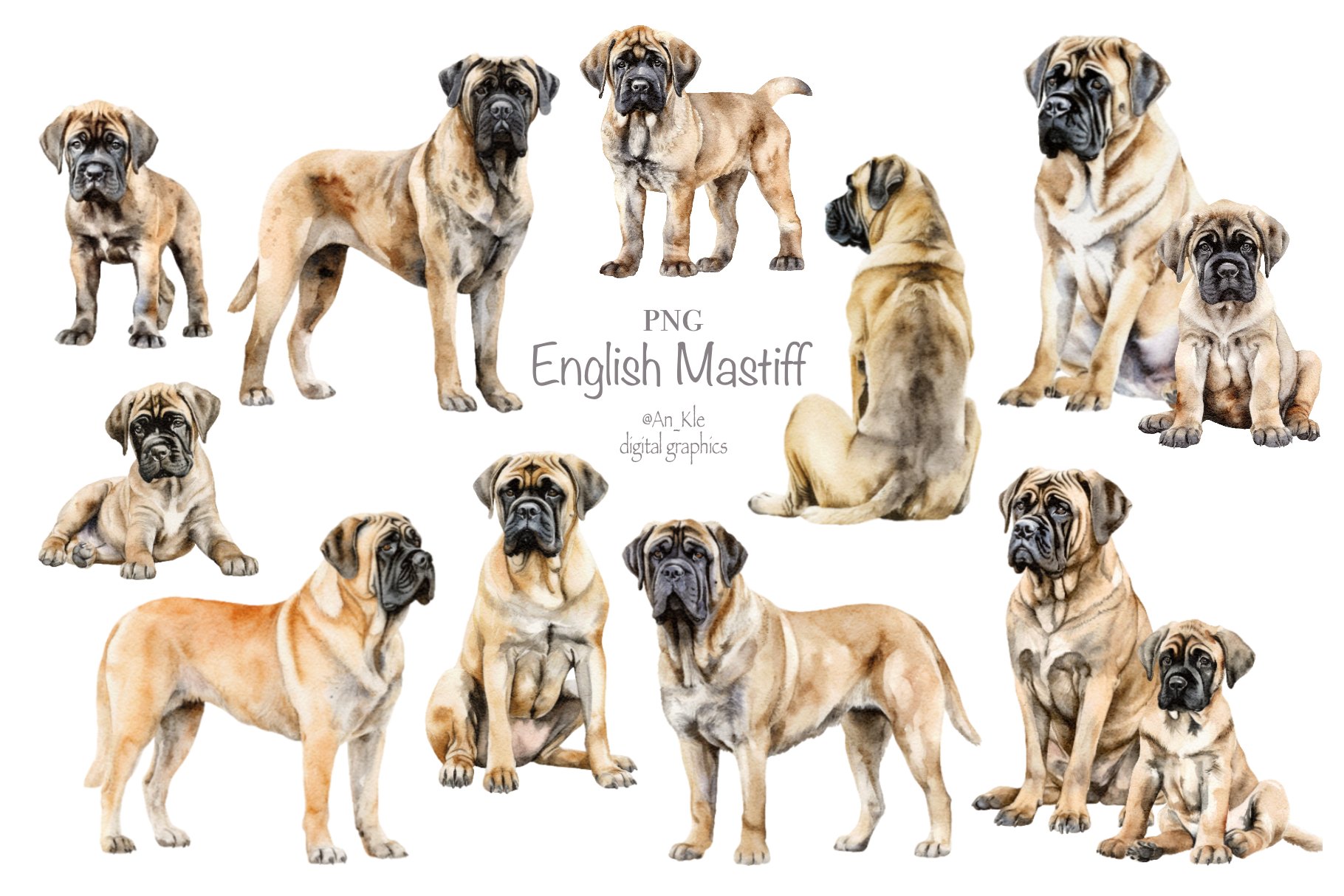 mastiff dog cliparts 2024