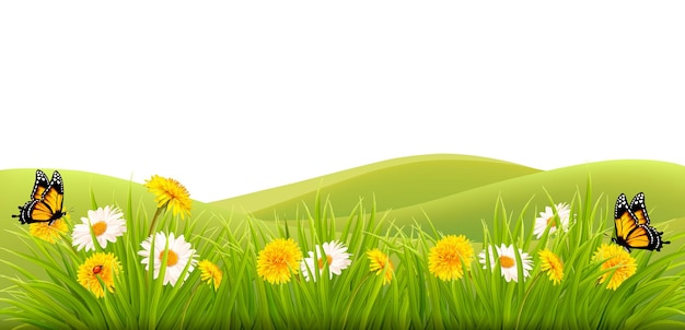 meadow cliparts 2024
