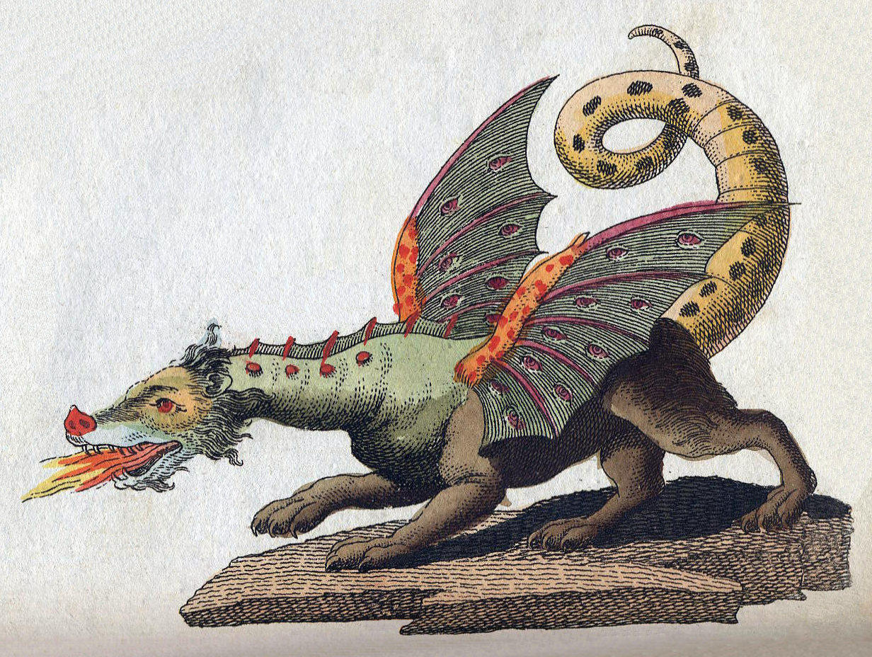 medieval dragons pictures