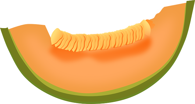 melon slice cliparts