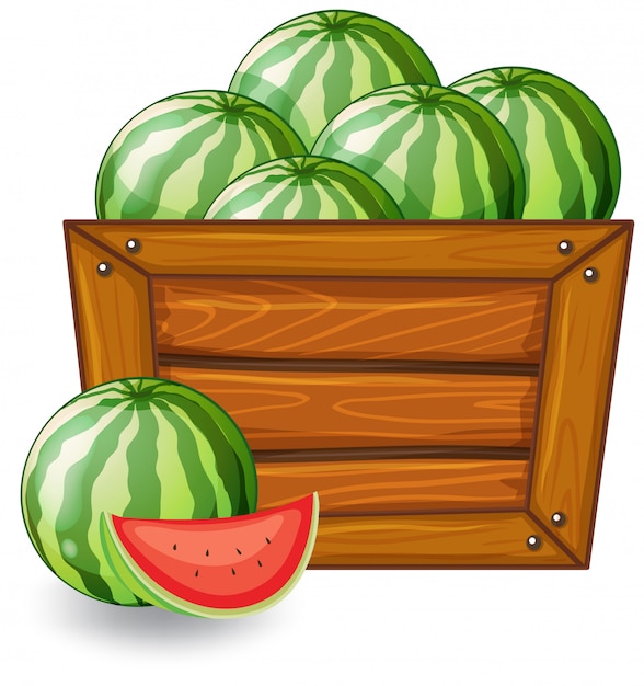 melons cliparts