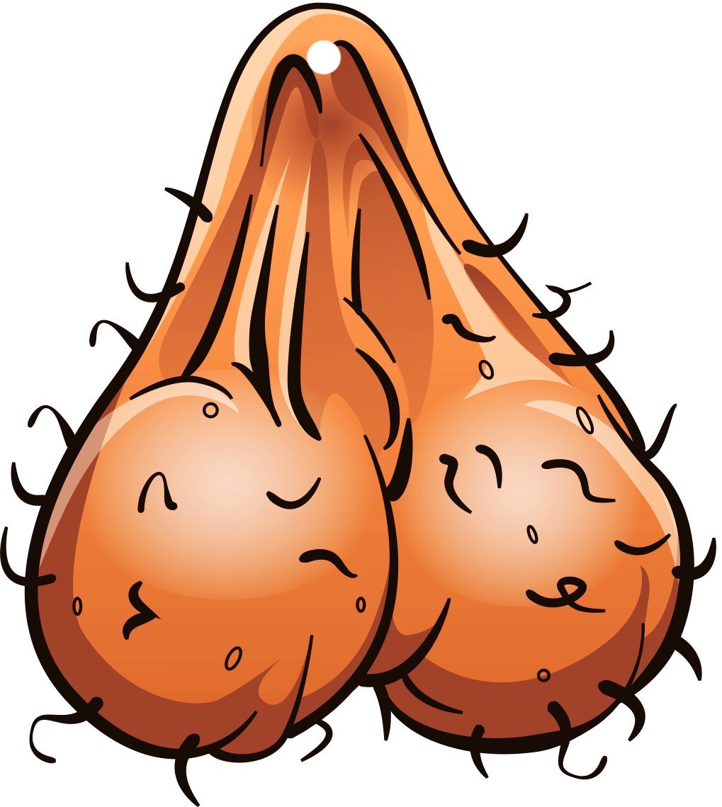 Buy Gift for Women Testicles - Men Balls - Nut Car Air Freshener ...