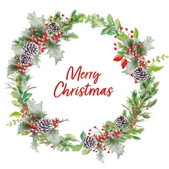 merry christmas