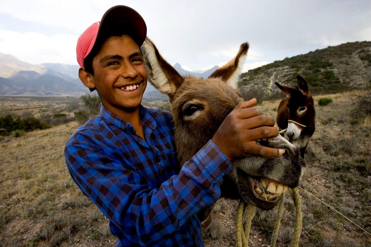Why Are Mexicans Among the Happiest People in the World? - Blue Zones